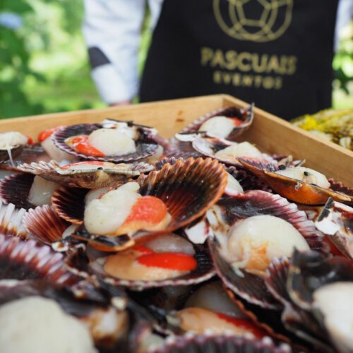 Imagen de nuestra cocina 12