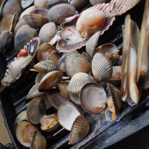 Imagen de nuestra cocina 19