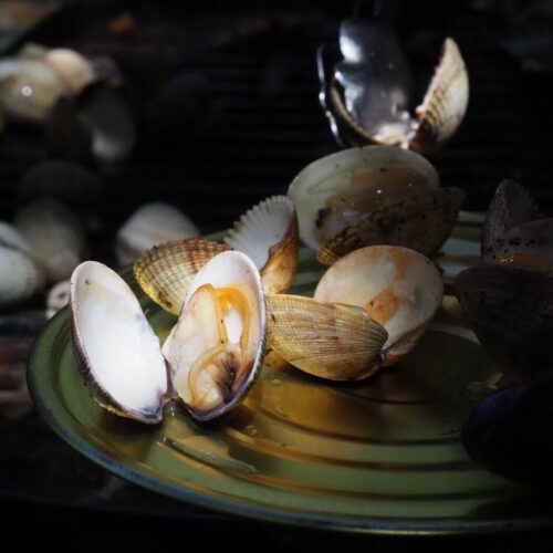 Imagen de nuestra cocina 8