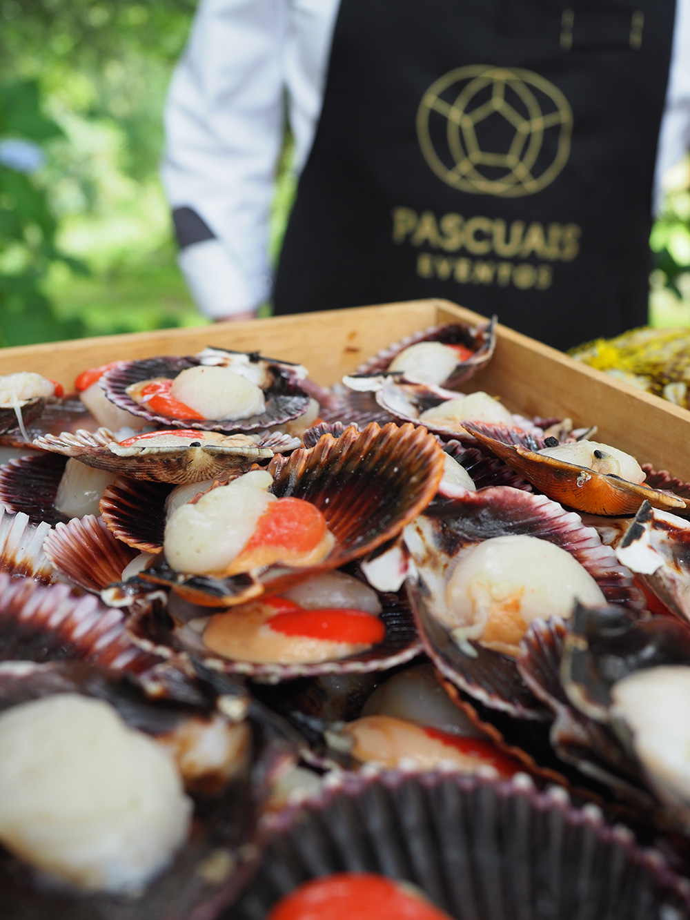 Imagen Especialidades Menu Restaurante Pascuais en Lugo - Vieiras y marisco