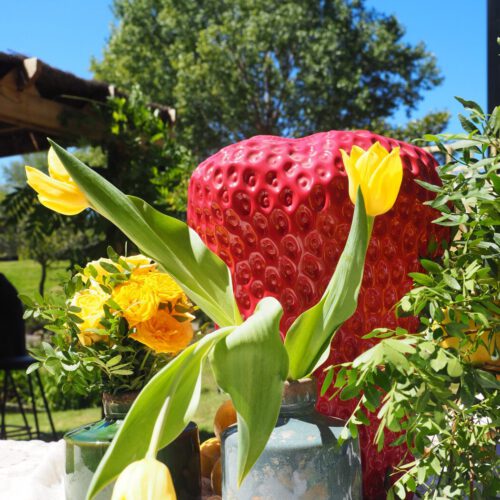 Jardines y exteriores 12