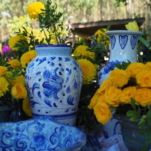 Jardines y exteriores 13