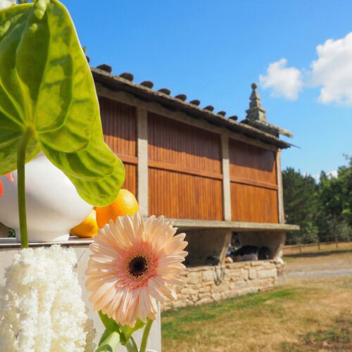 Jardines y exteriores 6