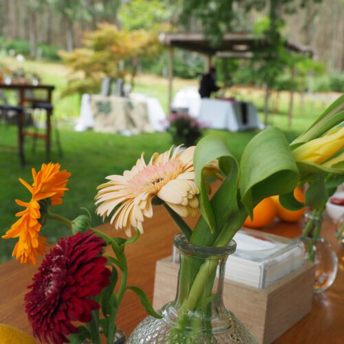 Jardines y exteriores 7